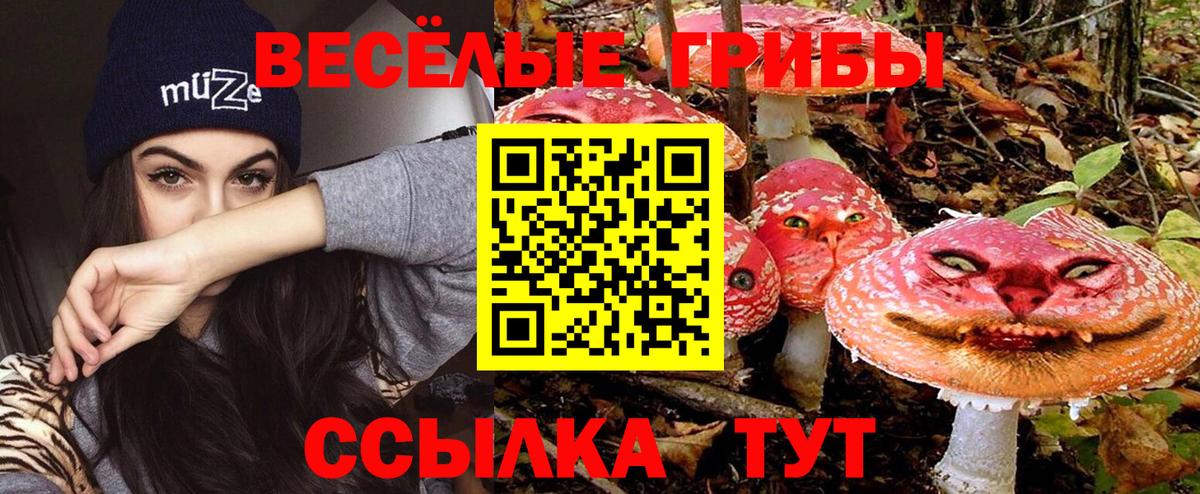 Галлюциногенные грибы Psilocybine cubensis  Галлюциногенные грибы прущие грибы  Вход с VPN  Касимов 